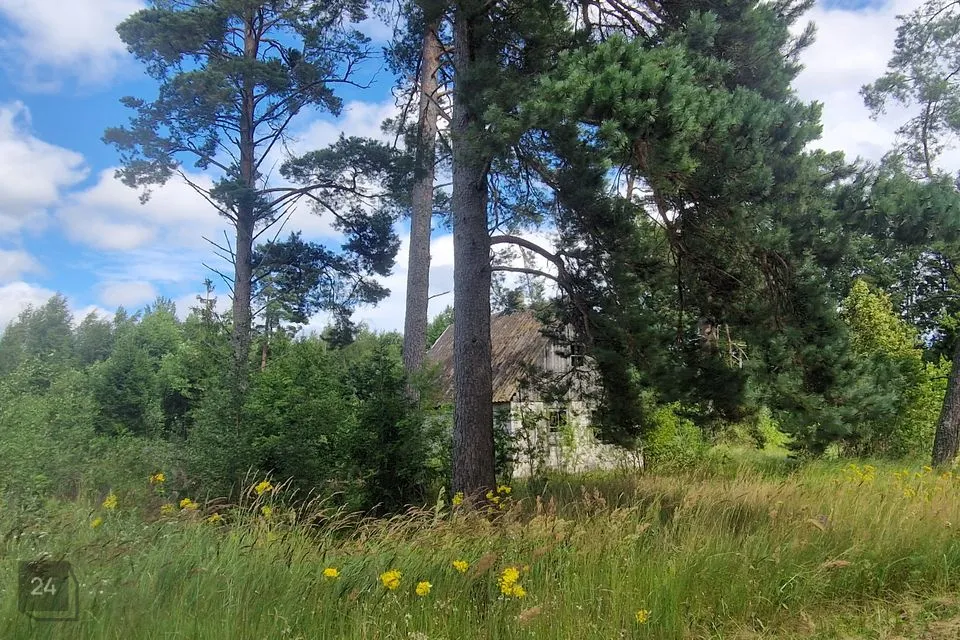 Maatulundusmaa, 40815 m² Maa - Hiiumaa vald, Prassi küla - foto 3
