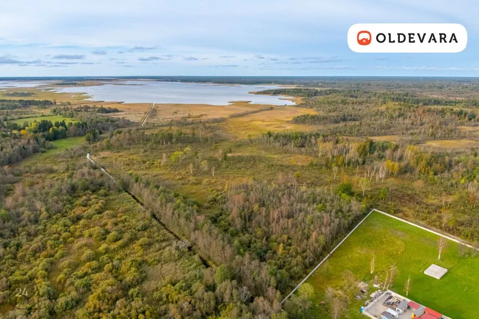 Maatulundusmaa, 111294 m² Maa - Lääne-Nigula vald, Saunja küla - foto 5