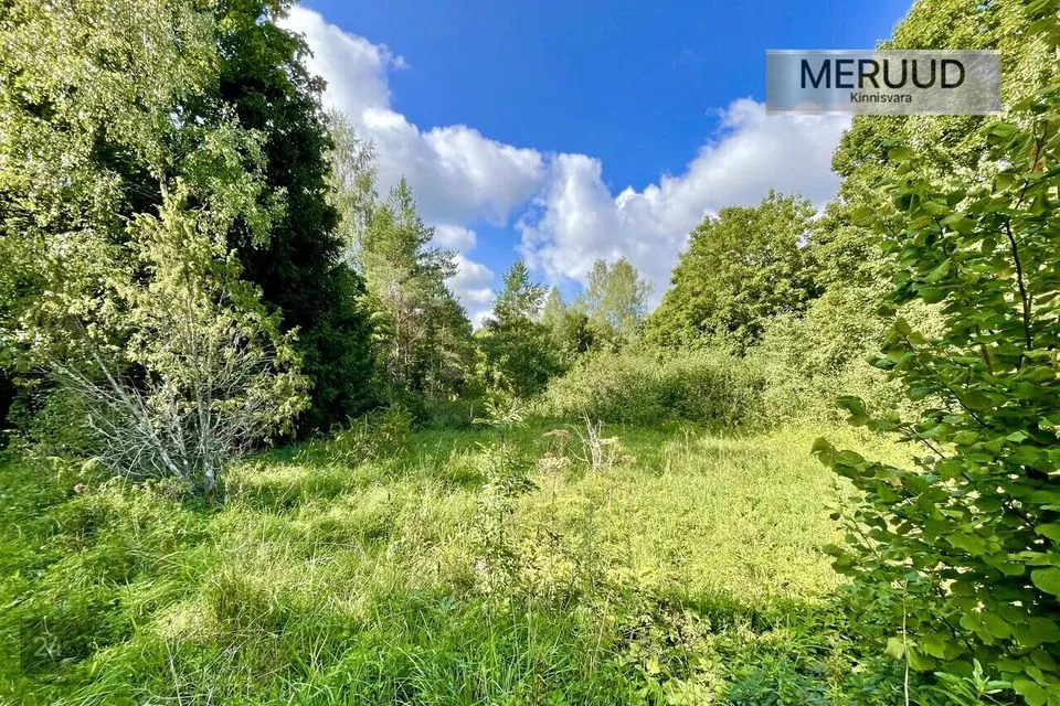 Maatulundusmaa, 25100 m² участок в Saaremaa vald, Vilidu küla