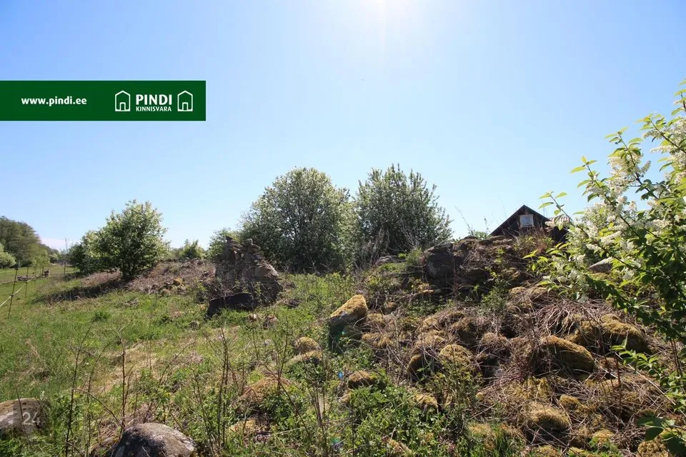 Maatulundusmaa, 29471 m² участок в Vormsi vald, Suuremõisa küla - фото 4