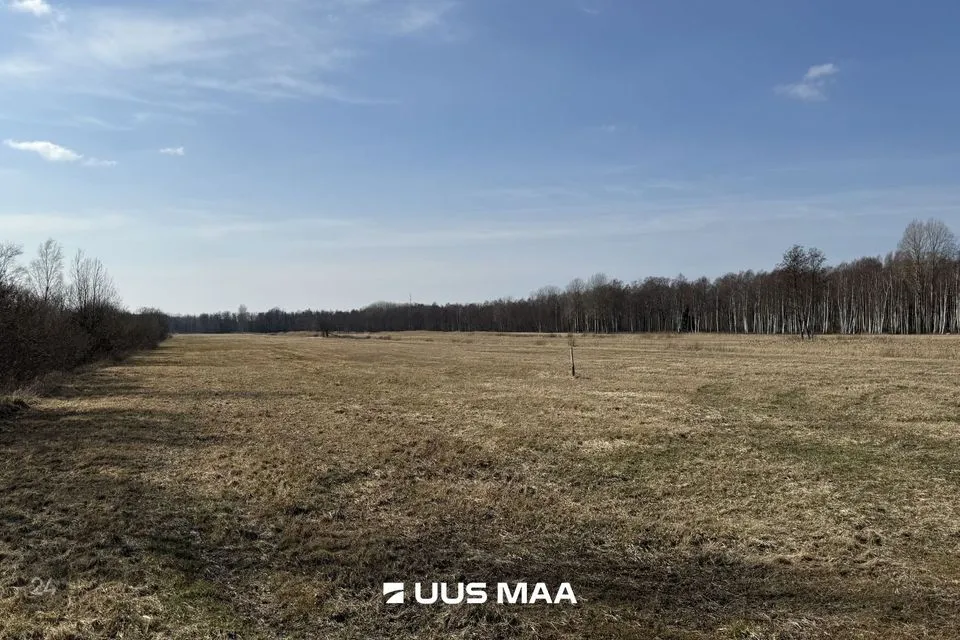Maatulundusmaa, 34985 m² Maa - Saaremaa vald, Oitme küla - foto 2