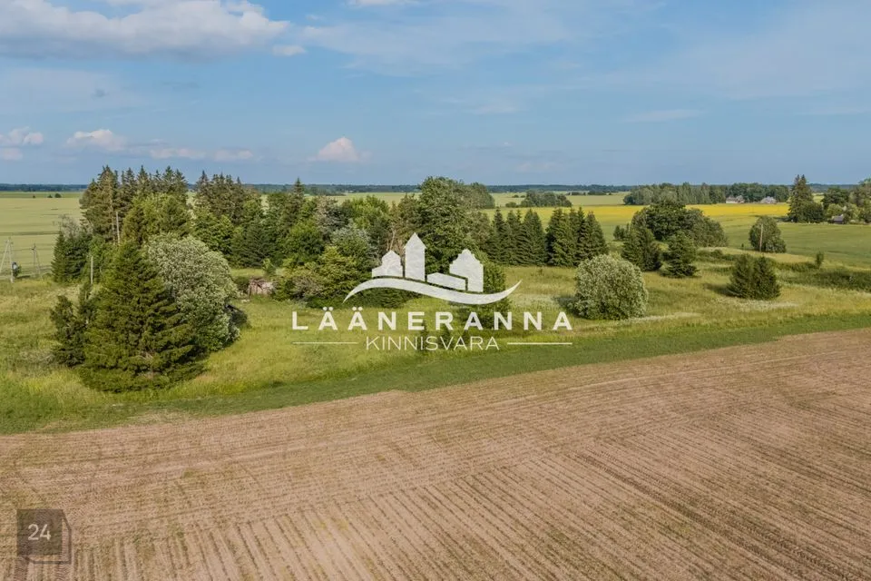 Земля жилой застройки, 7708 m² участок в Türi vald, Ollepa küla - фото 3