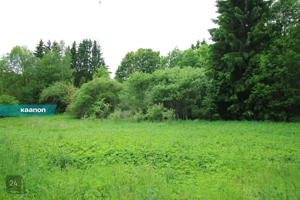 Elamumaa, 2118 m² Maa - Kambja vald, Pangodi küla
