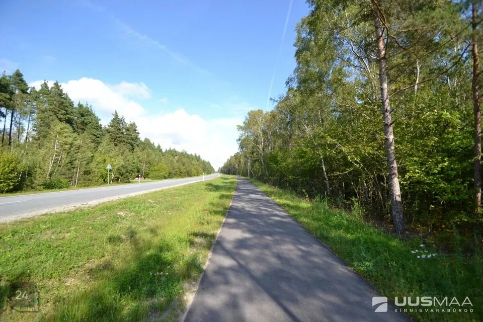 Maatulundusmaa, 199400 m² участок в Saaremaa vald, Muratsi küla - фото 3