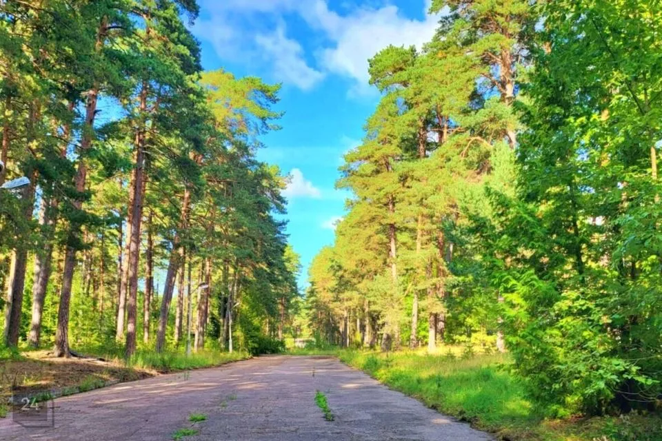 Riigikaitsemaa, 2020 m² Maa  -  Narva-Jõesuu linn, Narva-Jõesuu linn - foto 3