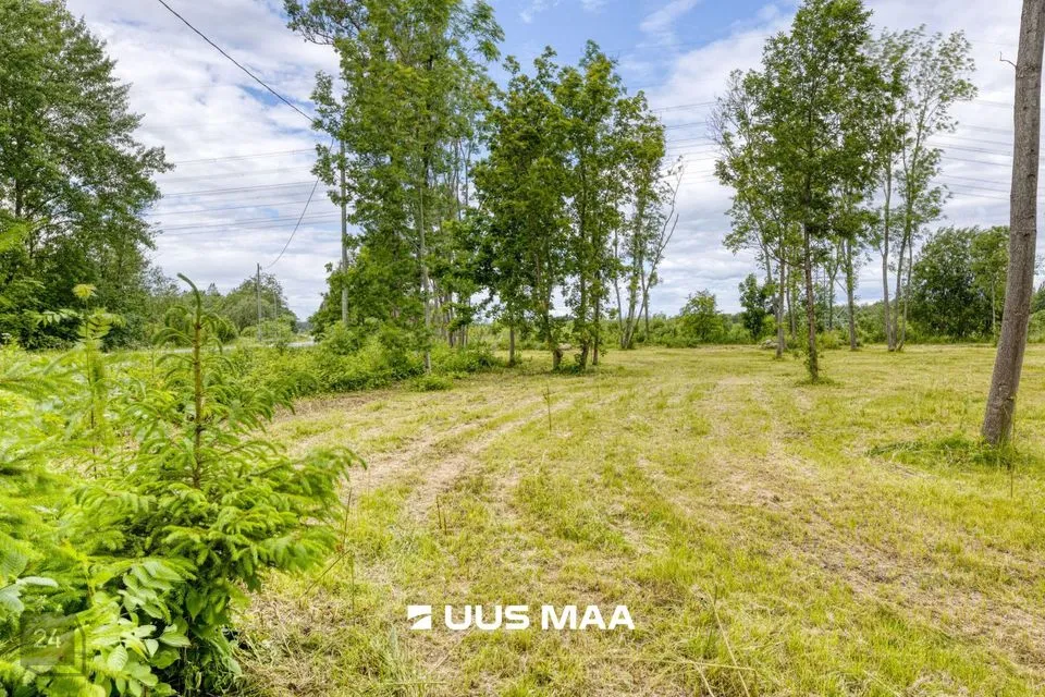 Maatulundusmaa, 14761 m² Maa  -  Saue vald, Püha küla - foto 4