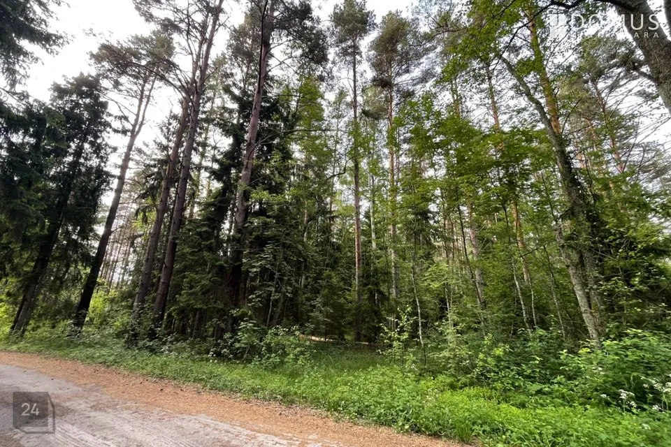 Elamumaa, 18274 m² Maa - Kuusalu vald, Kolga-Aabla küla - foto 4