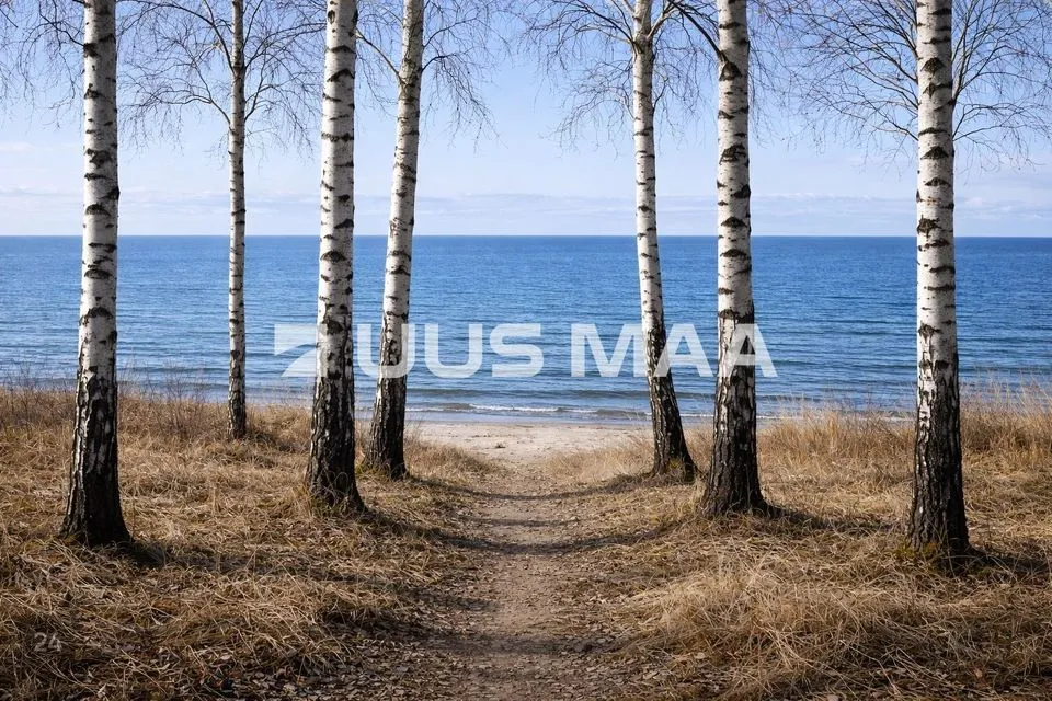 Elamumaa, 35678 m² Maa - Hiiumaa vald, Tohvri küla