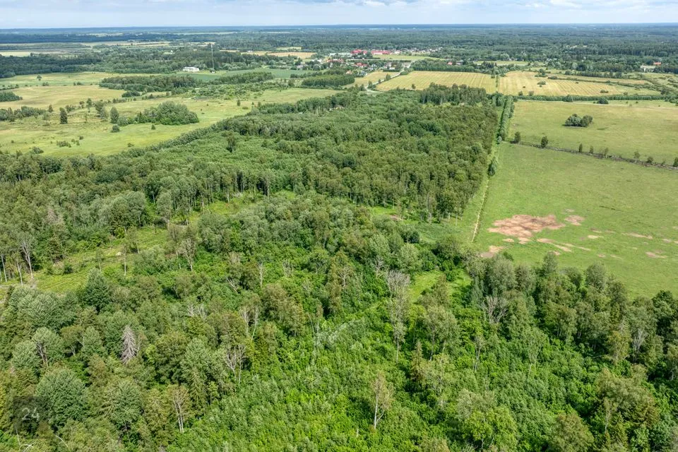 Maatulundusmaa, 3899 m² Maa  -  Kiili vald, Mõisaküla - foto 2