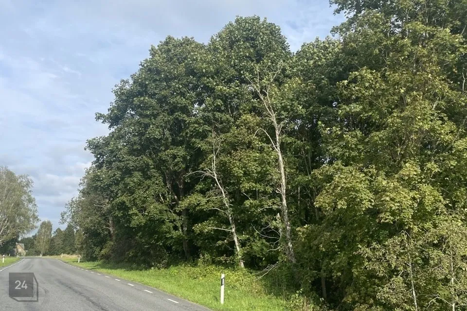 Maatulundusmaa, 15702 m² Maa - Võru vald, Orava küla - foto 4