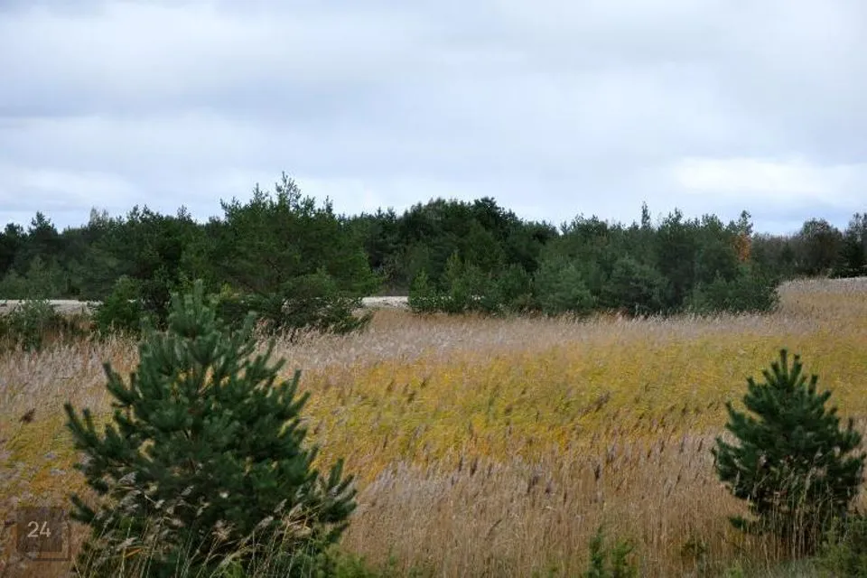 6053 m² Maa - Lääne-Nigula vald, Hara küla / Harga - foto 4