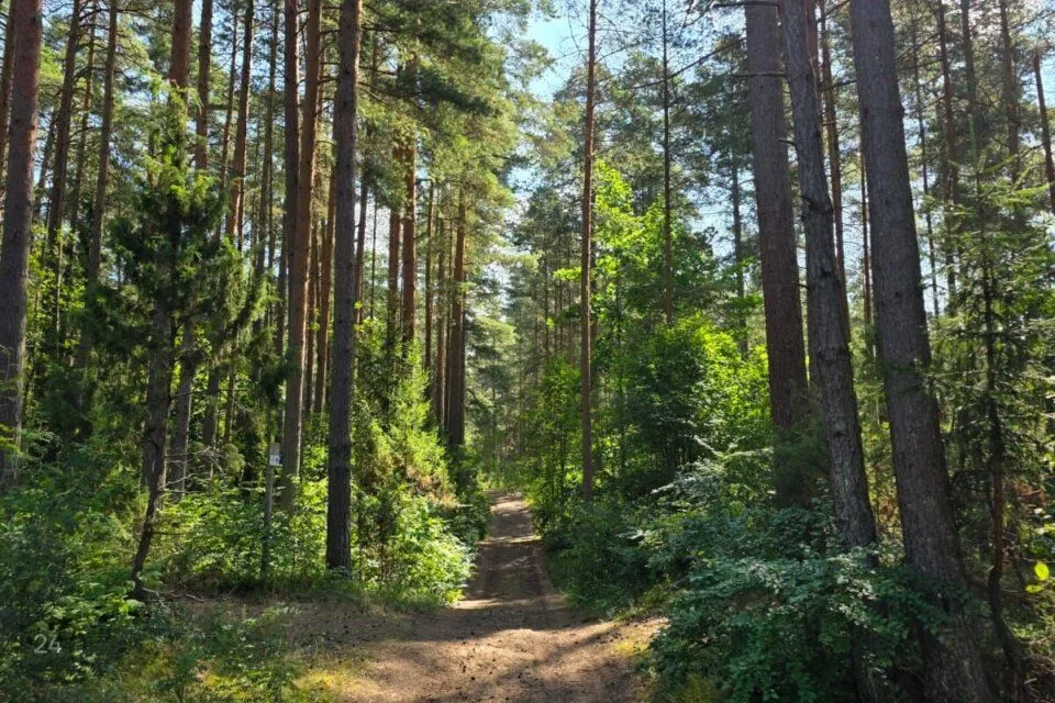 Земля жилой застройки, 2027 m² участок в Narva-Jõesuu linn, Narva-Jõesuu linn