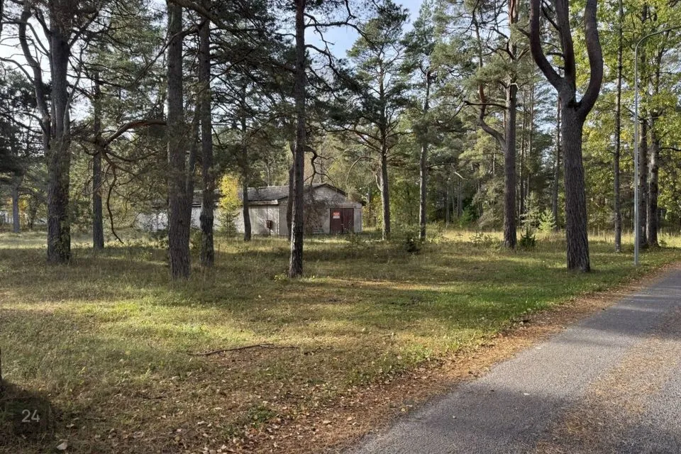 Mitme sihtotstarbega, 320 m² Äripind  -  Saaremaa vald, Kärla alevik - foto 4