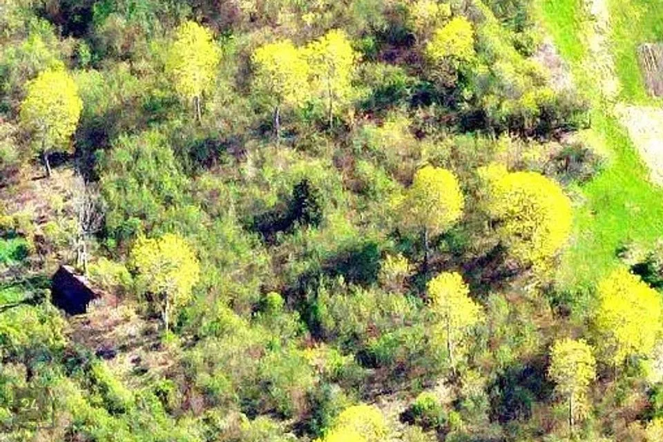 Земля жилой застройки, 11785 m² участок в Lääne-Nigula vald, Vedra küla - фото 3
