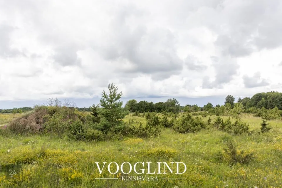 Elamumaa, 4405 m² Maa - Hiiumaa vald, Reigi küla - foto 4
