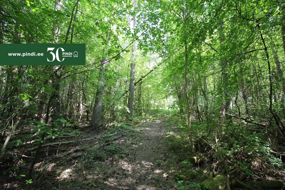 Maatulundusmaa, 50953 m² участок в Vormsi vald, Suuremõisa küla - фото 4