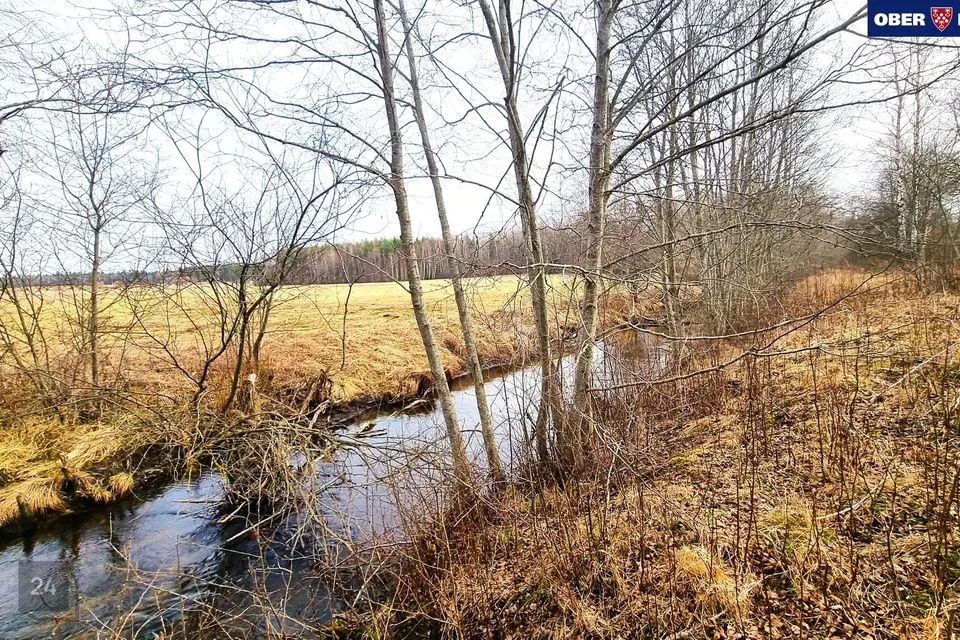 Maatulundusmaa, 100700 m² участок в Saue vald, Maidla küla - фото 3