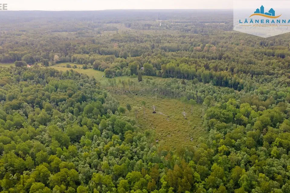 Maatulundusmaa, 43600 m² участок в Saaremaa vald, Väike-Ula küla - фото 5
