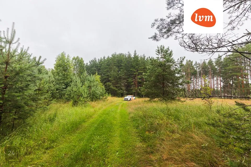 Maatulundusmaa, 13086 m² Maa  -  Alutaguse vald, Kuru küla - foto 2