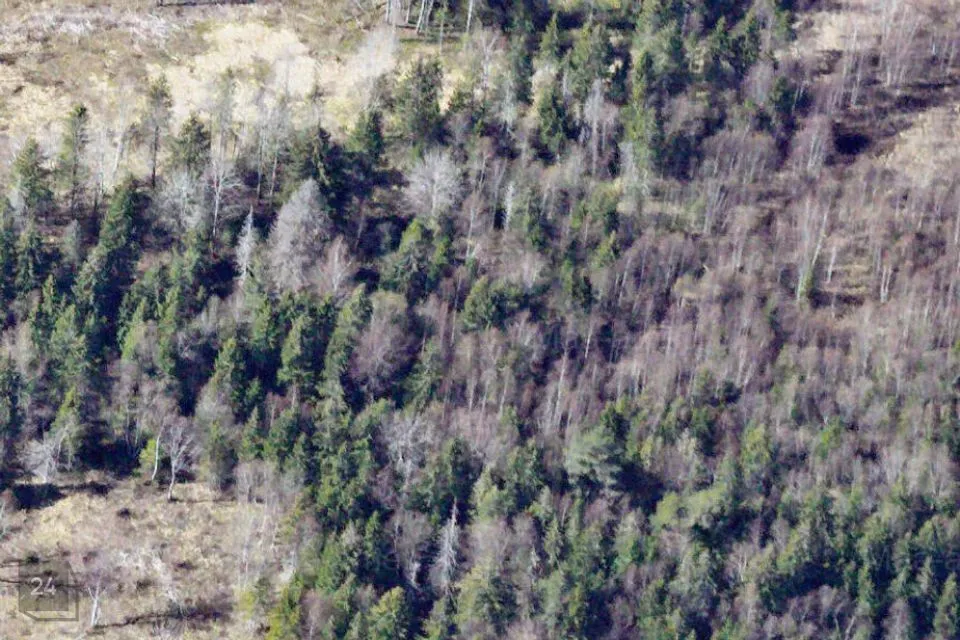 Maatulundusmaa, 21700 m² Maa  -  Saue vald, Laitse küla - foto 4