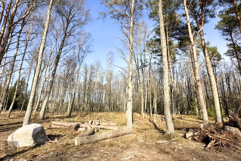 Земля жилой застройки, 1205 m² участок в Viimsi vald, Randvere küla - фото 2