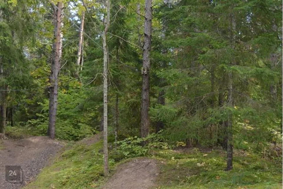 Elamumaa, 4922 m² Maa  -  Saaremaa vald, Leisi alevik