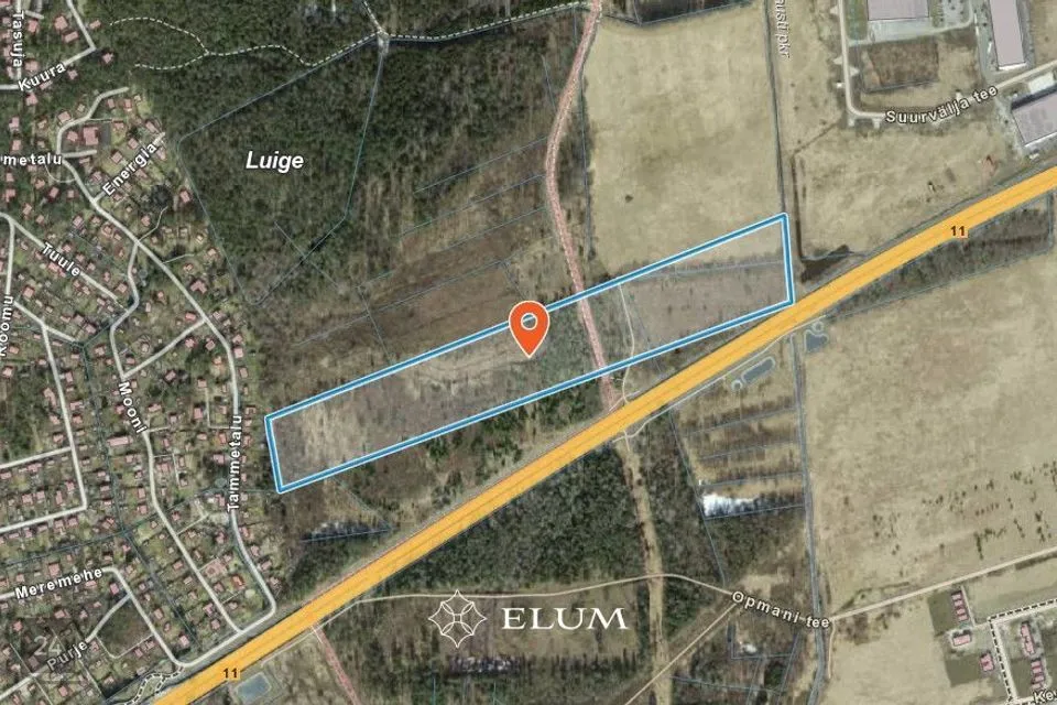 Maatulundusmaa, 92382 m² участок в Kiili vald, Luige alevik - фото 2