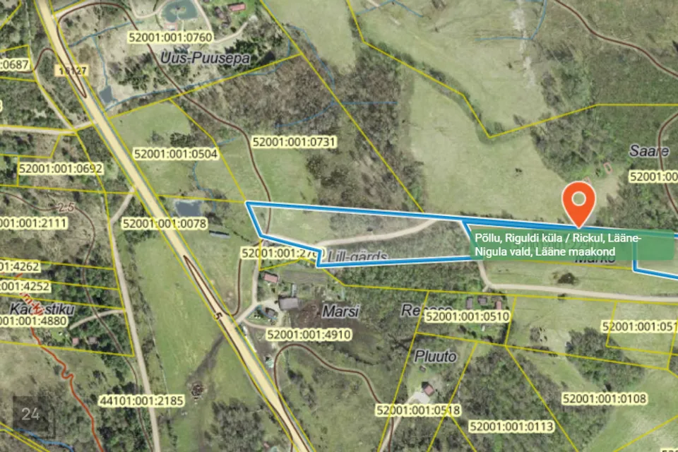 Maatulundusmaa, 36516 m² участок в Lääne-Nigula vald, Riguldi küla / Rickul