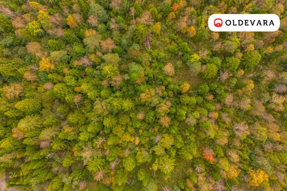 Elamumaa, 12034 m² Maa - Saaremaa vald, Mõntu küla - foto 3