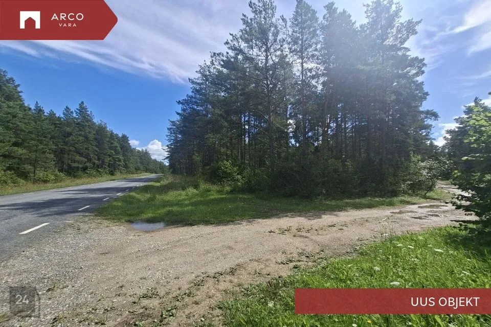Maatulundusmaa, 25271 m² Maa  -  Saaremaa vald, Pulli küla - foto 4