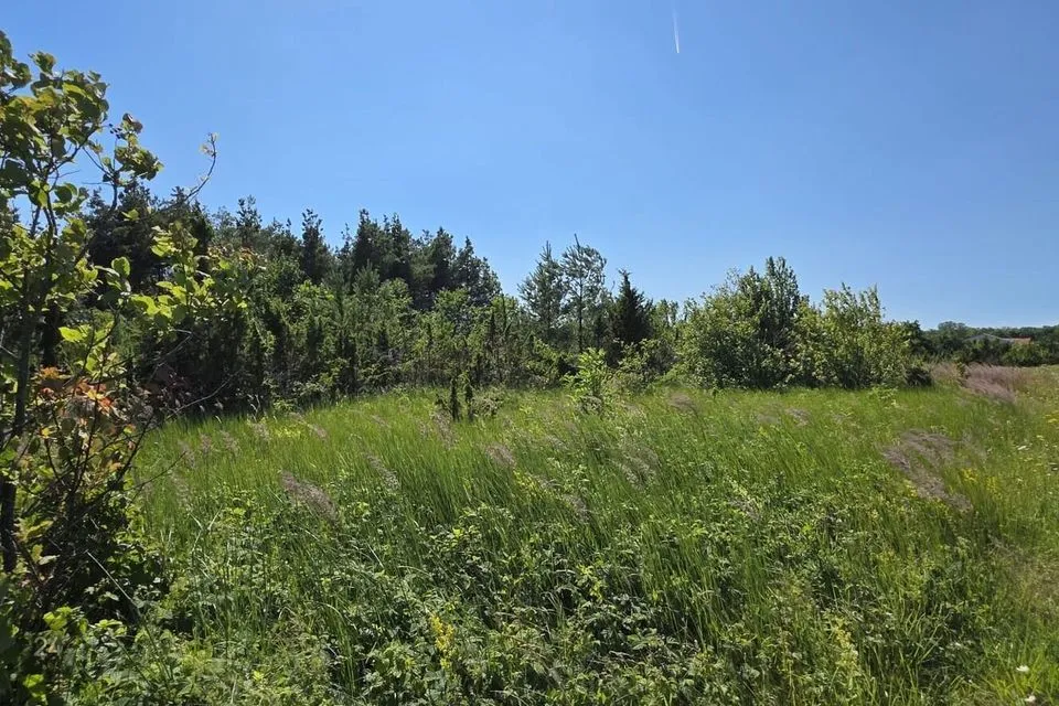 Elamumaa, 2498 m² Maa  -  Saaremaa vald, Kudjape alevik
