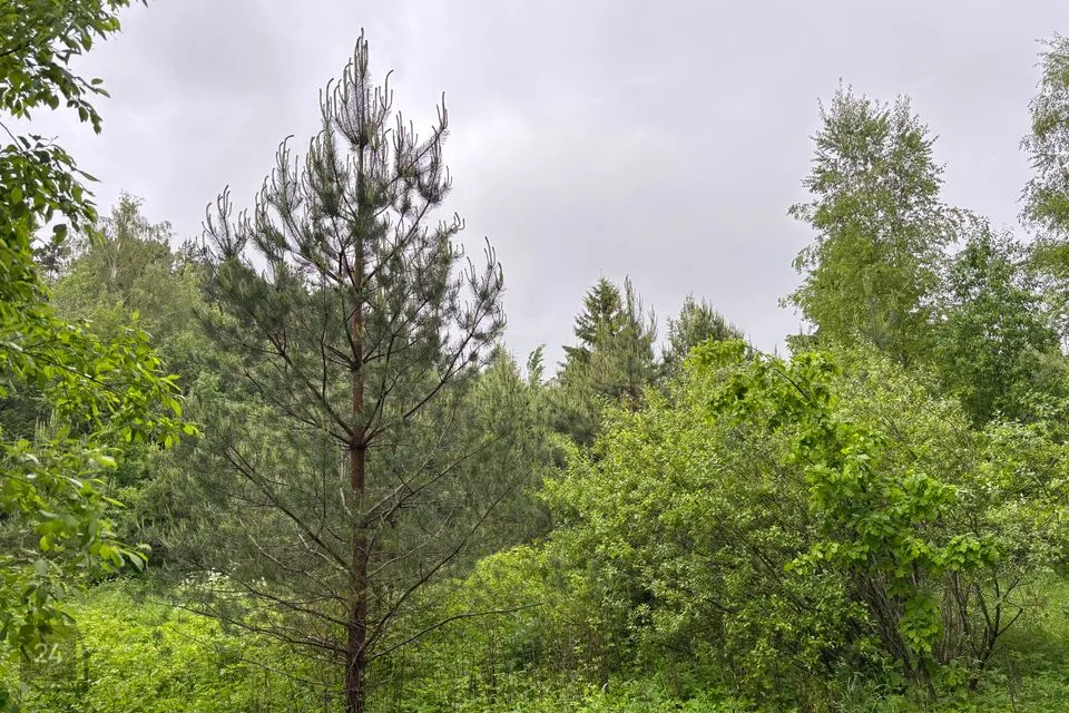 Земля жилой застройки, 21870 m² участок в Pärnu linn, Pärnu linn - фото 4