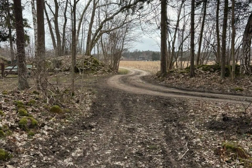 Maatulundusmaa, 78291 m² Maa  -  Muhu vald, Hellamaa küla - foto 5