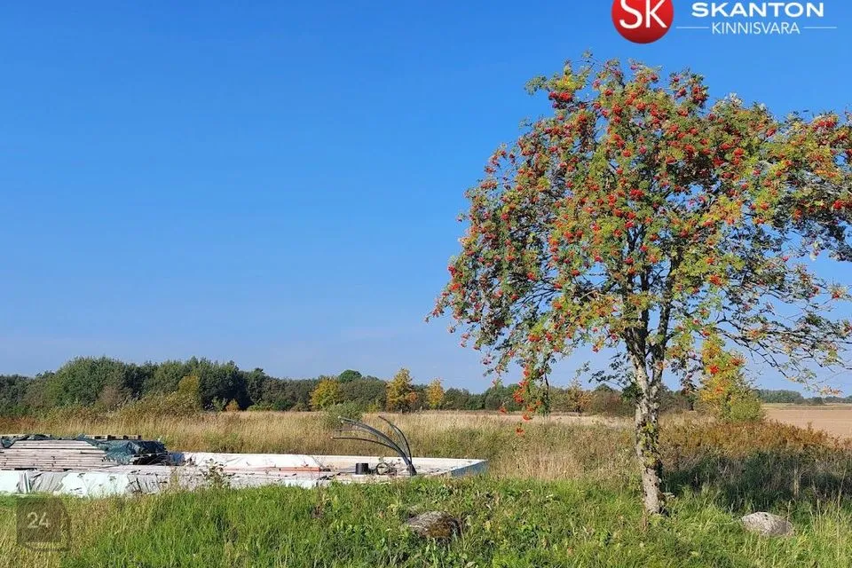 Elamumaa, 6751 m² Maa - Lääne-Nigula vald, Koluvere küla - foto 4