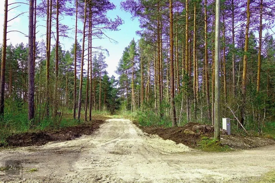Maatulundusmaa, 15977 m² участок в Haapsalu linn, Rummu küla