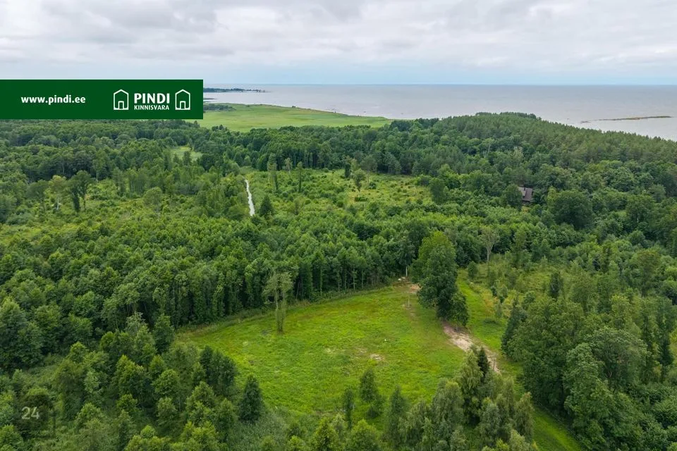 Maatulundusmaa, 3099 m² Maa - Viru-Nigula vald, Kalvi küla - foto 2