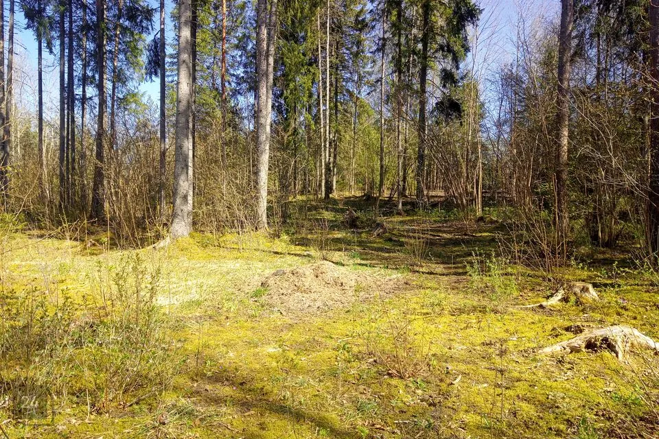 Земля жилой застройки, 4019 m² участок в Rapla vald, Sulupere küla