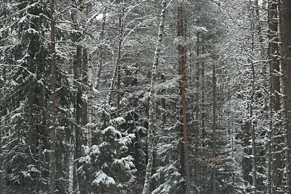 Elamumaa, 5711 m² Maa - Hiiumaa vald, Kodeste küla - foto 3