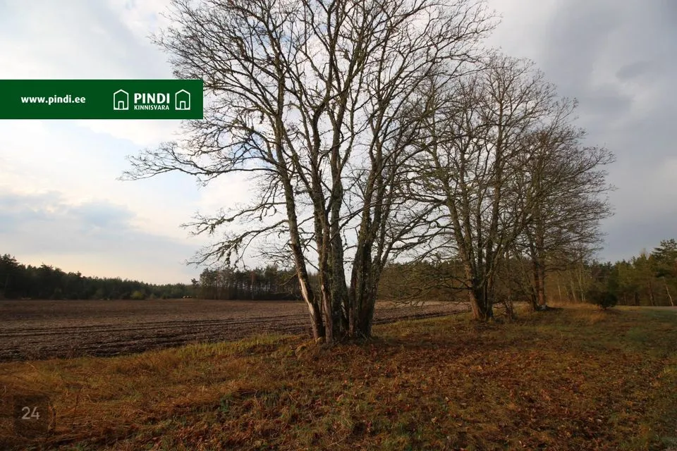 Maatulundusmaa, 32600 m² участок в Hiiumaa vald, Vahtrepa küla - фото 5