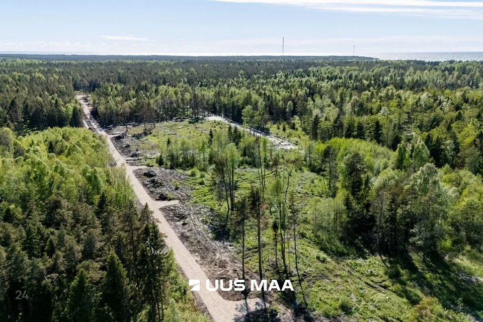 Maatulundusmaa, 5100 m² участок в Lääne-Nigula vald, Spithami küla / Spithamn - фото 4