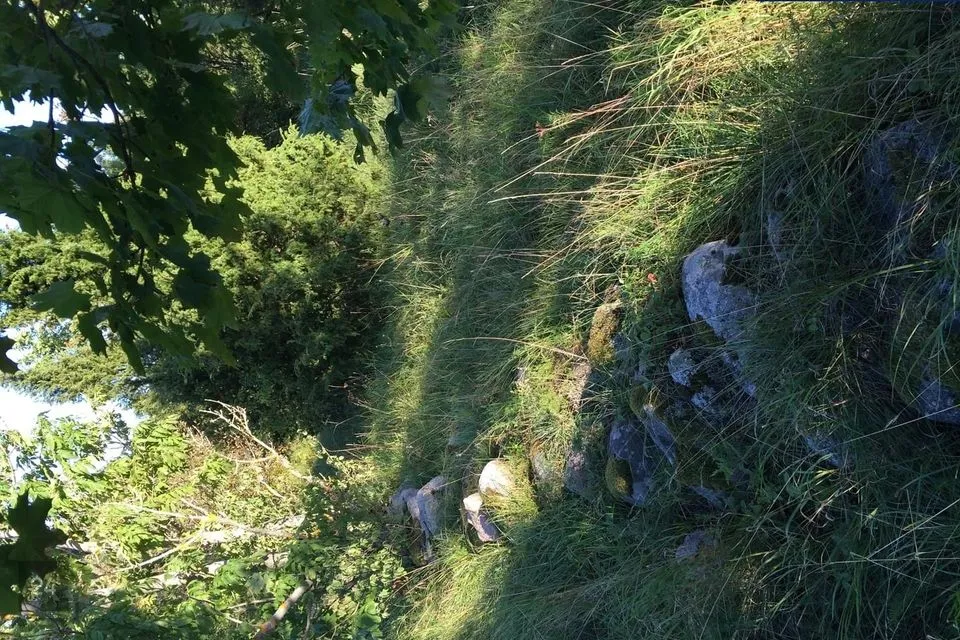 Maatulundusmaa, 5974 m² Maa  -  Lääneranna vald, Raespa küla - foto 2