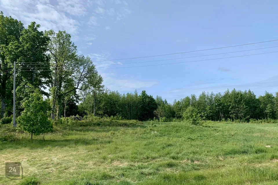 Elamumaa, 6626 m² Maa - Lääne-Nigula vald, Nõmmemaa küla - foto 5