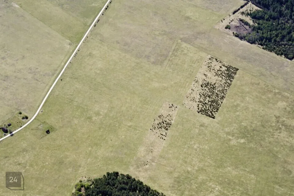 Maatulundusmaa, 19602 m² Maa  -  Vormsi vald, Suuremõisa küla - foto 4