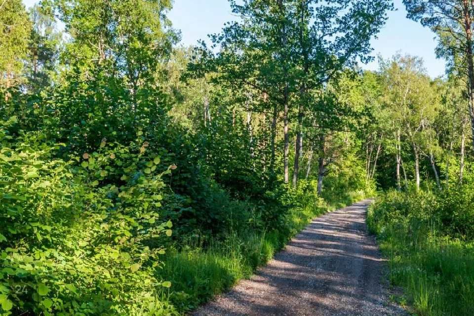 Maatulundusmaa, 82227 m² Maa - Haapsalu linn, Nõmme küla - foto 2