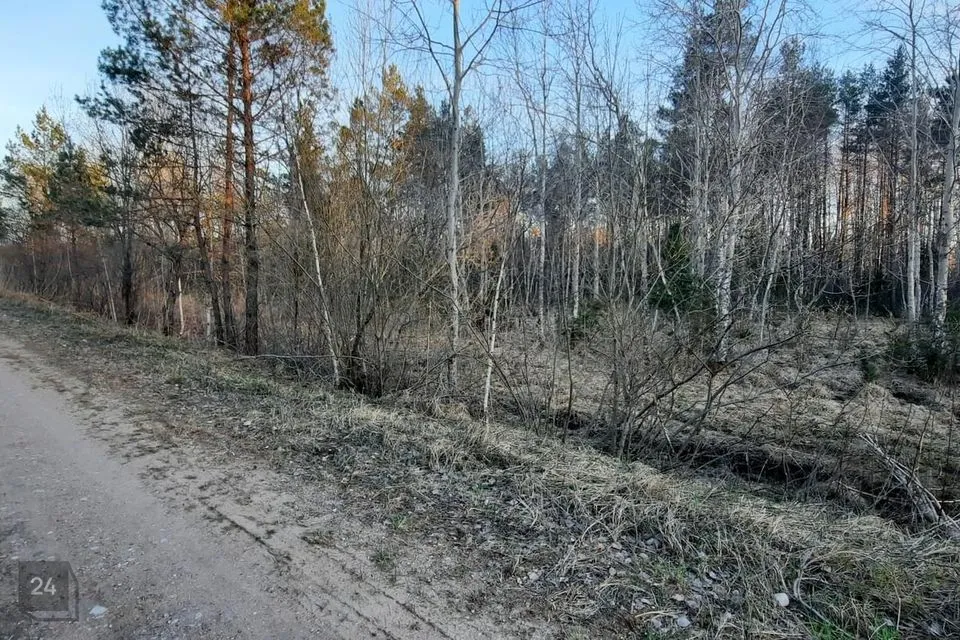 Maatulundusmaa, 12100 m² Maa  -  Saaremaa vald, Unimäe küla - foto 4