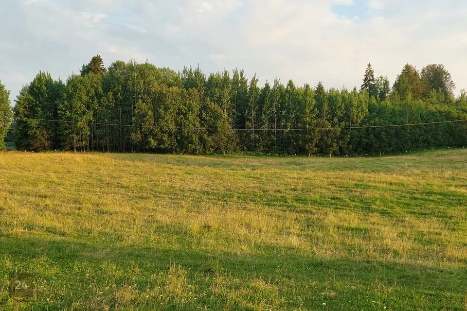 Maatulundusmaa, 6000 m² участок в Kadrina vald, Vaiatu küla - фото 3