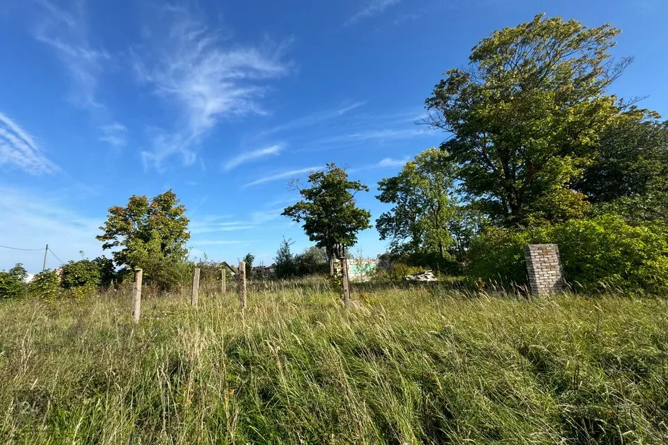 Maatulundusmaa, 149093 m² Maa  -  Narva-Jõesuu linn, Vaivara küla - foto 4