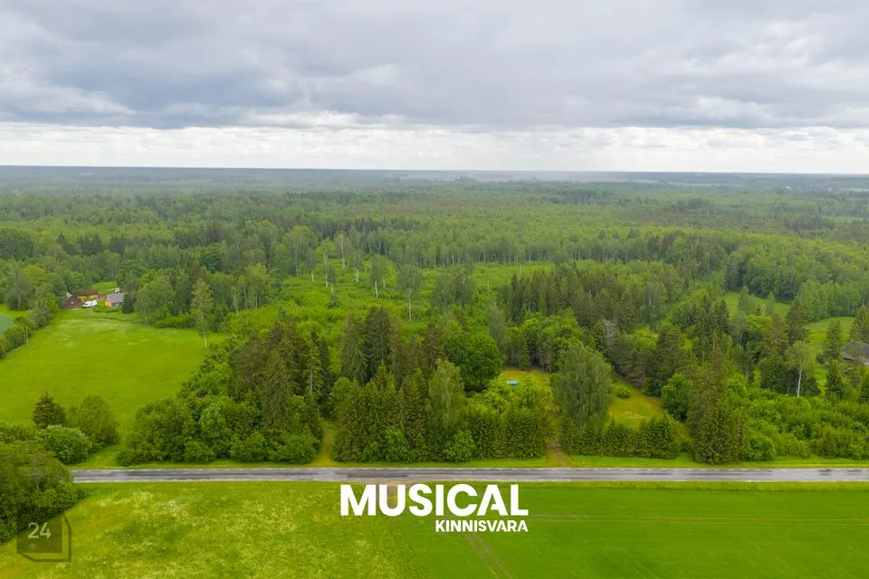 Elamumaa, 10734 m² Maa  -  Põltsamaa vald, Uuevälja küla - foto 4