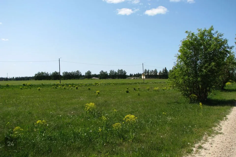 Elamumaa, 2602 m² Maa - Järva vald, Roosna küla - foto 3