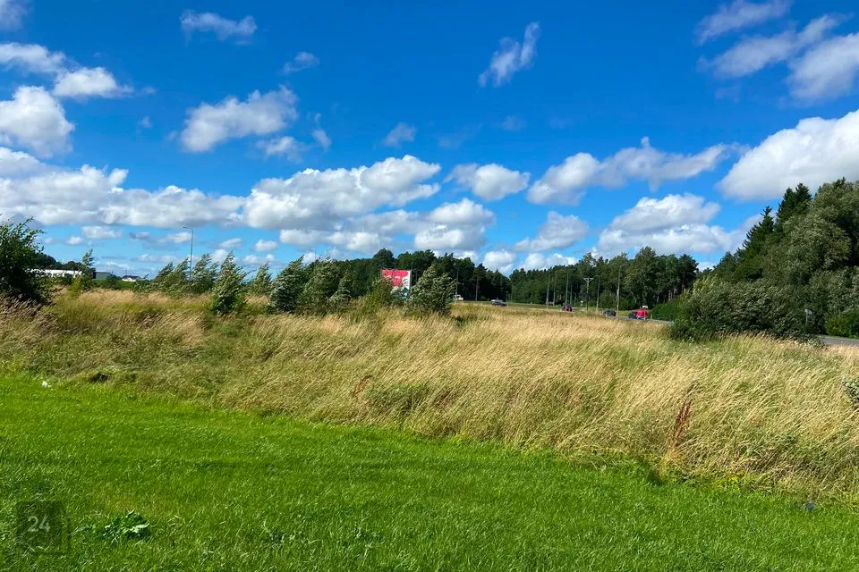 Ärimaa, 6674 m² Maa - Saue vald, Alliku küla - foto 3